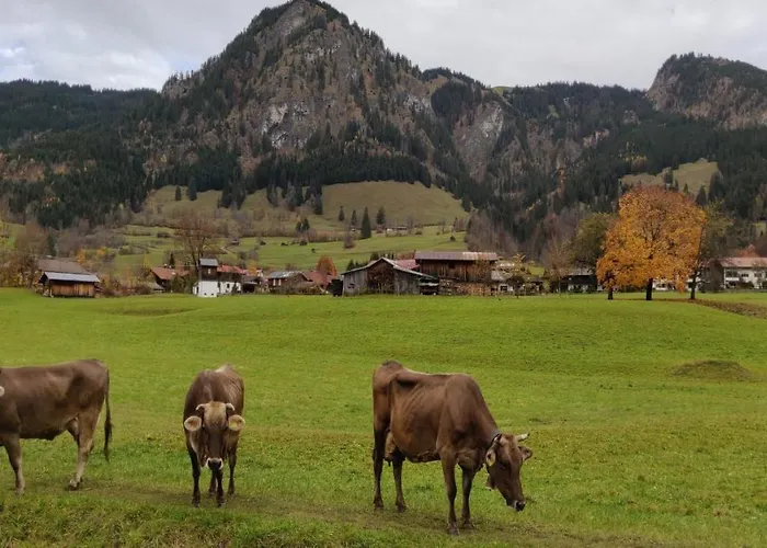 Haus Meinecke Daire Bad Hindelang